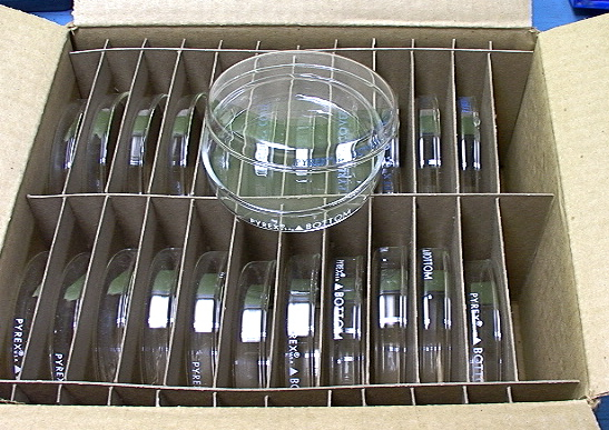 NIB Box Of PYREX 3160-101 Petri Dishes And Covers (12 Count) - Click Image to Close